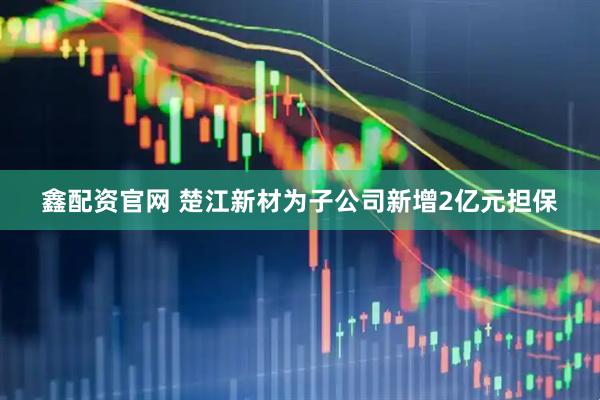 鑫配资官网 楚江新材为子公司新增2亿元担保
