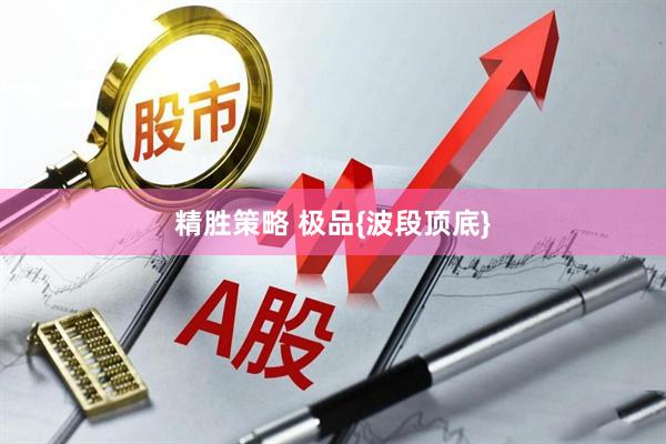 精胜策略 极品{波段顶底}