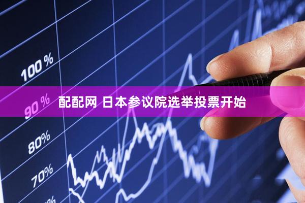 配配网 日本参议院选举投票开始