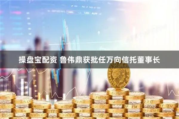 操盘宝配资 鲁伟鼎获批任万向信托董事长