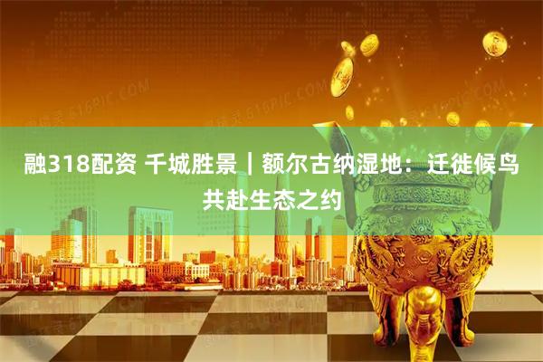融318配资 千城胜景｜额尔古纳湿地：迁徙候鸟共赴生态之约