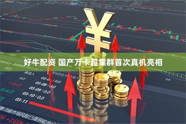 好牛配资 国产万卡超集群首次真机亮相